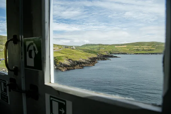 Bild Wien Palmenhaus Schönbrunn