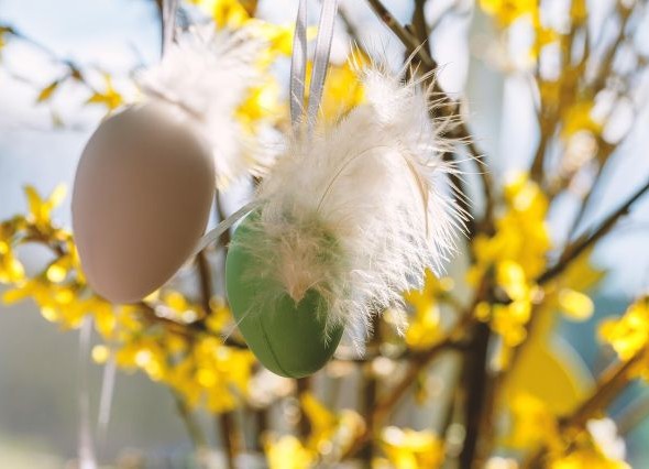 Banner vtours - Türkei