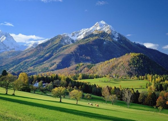 Banner Österreich